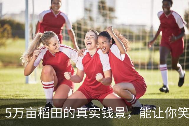 5万亩稻田的真实钱景，能让你笑也能让你哭！